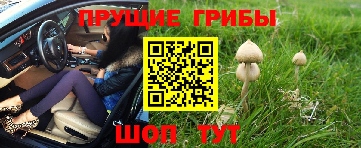 Псилоцибиновые грибы мухоморы Солнечногорск