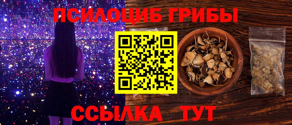 закладка  Псилоцибиновые грибы мицелий  Вход с VPN  Солнечногорск 